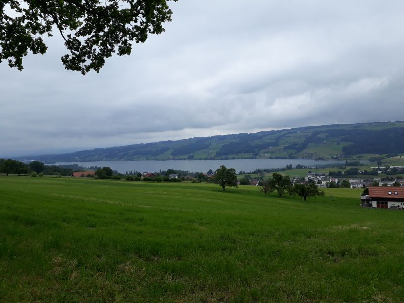 images/inhaltsbilder/referenzen/anlagen/WV-Hitzkirch/impressionen/hitzkirch6.jpg#joomlaImage://local-images/inhaltsbilder/referenzen/anlagen/WV-Hitzkirch/impressionen/hitzkirch6.jpg?width=4128&height=3096